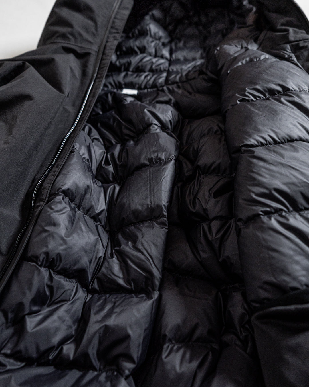 【collaboration】ES.1 × THE NEW ORDER magazine D005 TNO 3lyr down hoodie