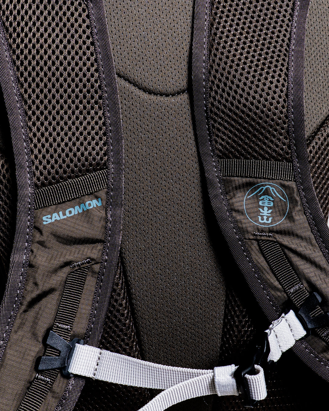 SALOMON TRAILBLAZER 20 Mt. FUJI
