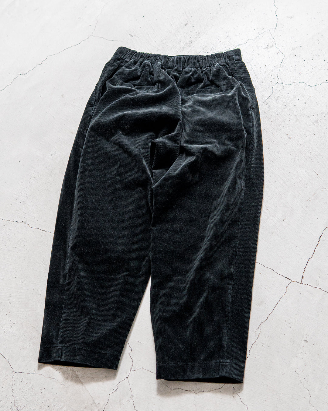 通販] is-ness(イズネス) CORDUROY TUCK TROUSERS 商品ページ – zentex