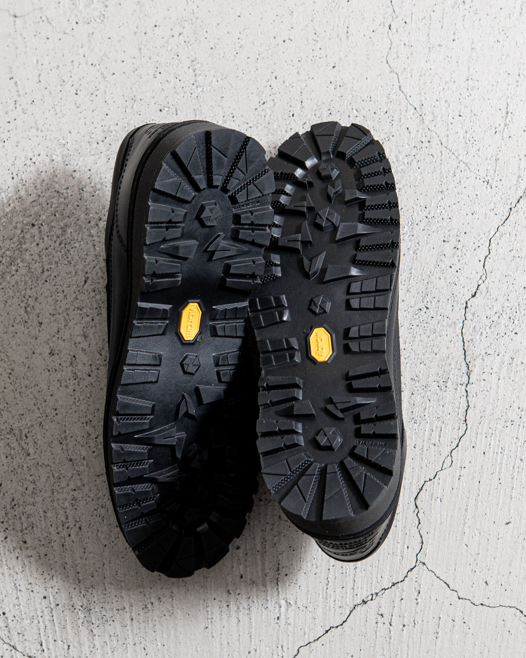 DANNER FIELD LOW R / BLACK