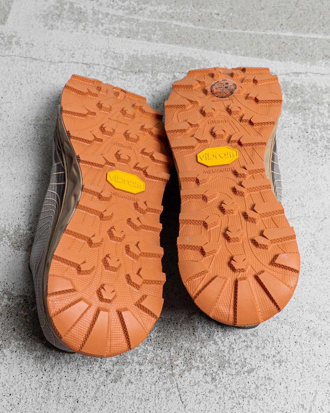 NNormal Tomir 02 BROWN